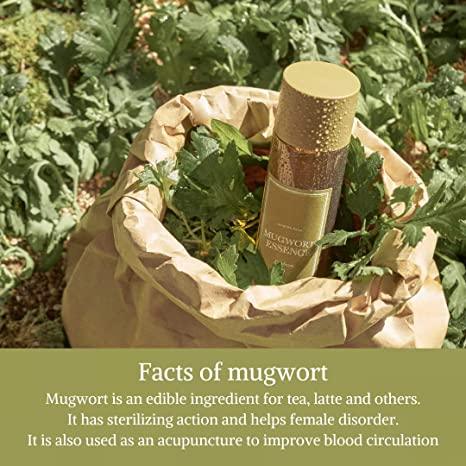 Is as Mugwort Essence Review mé