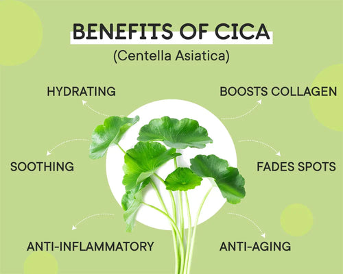 Schalte die Vorteile von CICA frei: eine umfassende Analyse der Zutaten von Cica