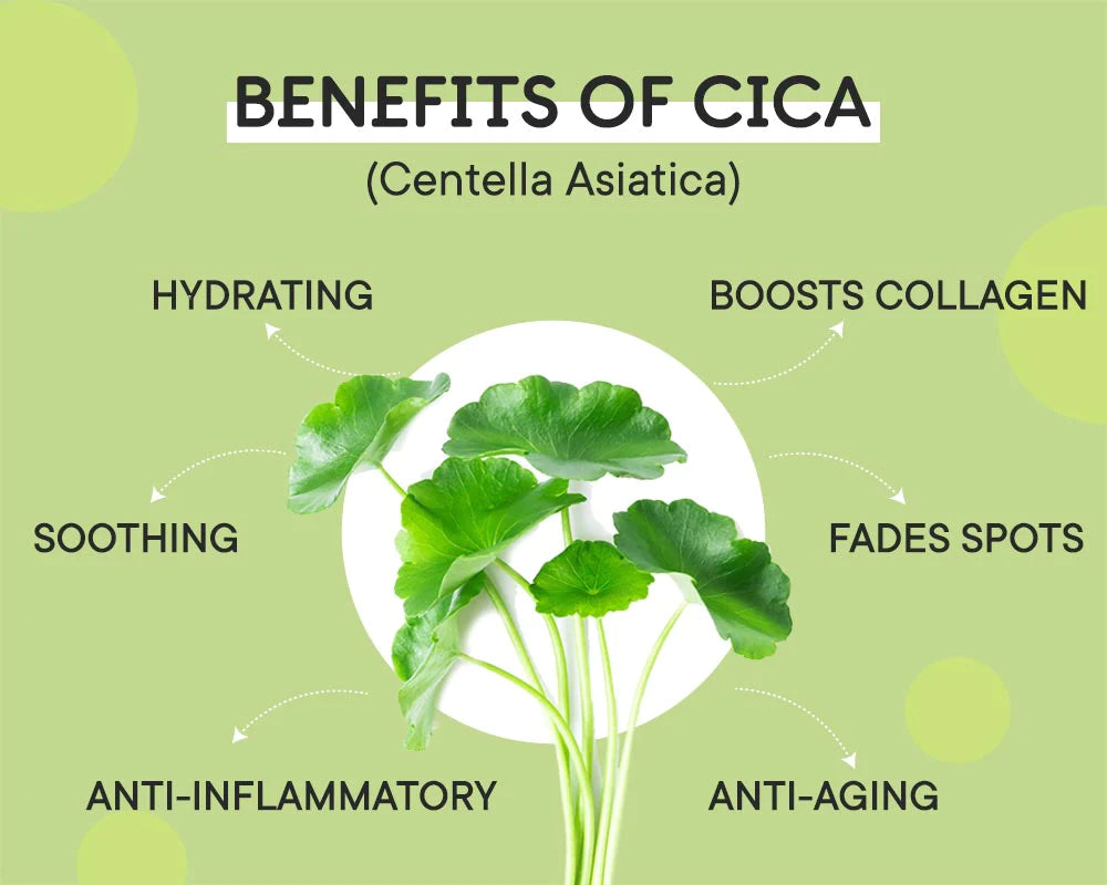 Desbloquee los beneficios de CICA: un análisis completo de los ingredientes de Cica