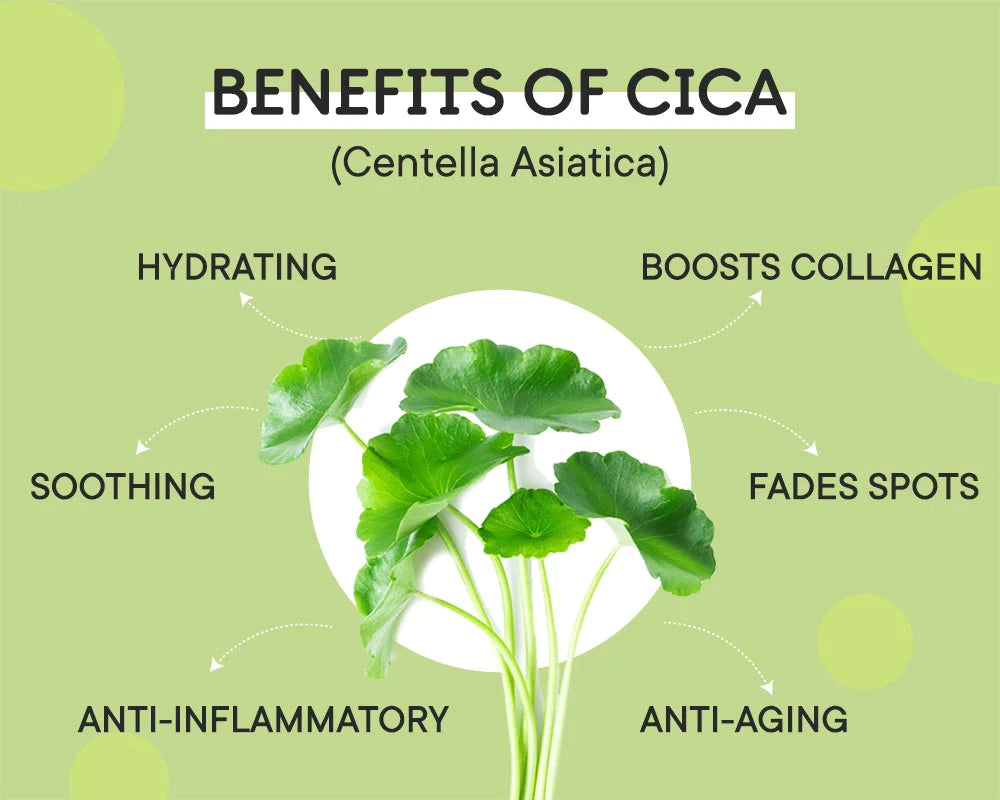 Unlock the Benefits of Cica: A Comprehensive Analysis of Cica's Ingredients