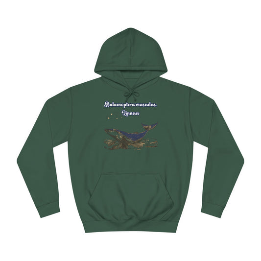 Blue Whale Unisex College Hoodie