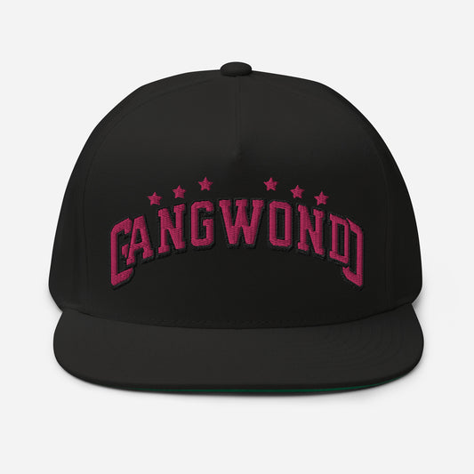 Gangwondo Flat Bill Cap