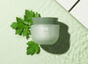 HANYUL Pure Artemisia Calming Water Cream 50ml - EmpressKorea