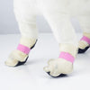 Natress Dog Disposable Walking Shoes 80pcs - EmpressKorea