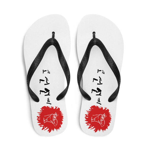 Flip-flops estilizados de Joseon Dynasty Scholar