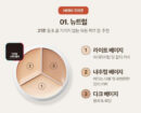 tfit Cover Up Pro Concealer 15g