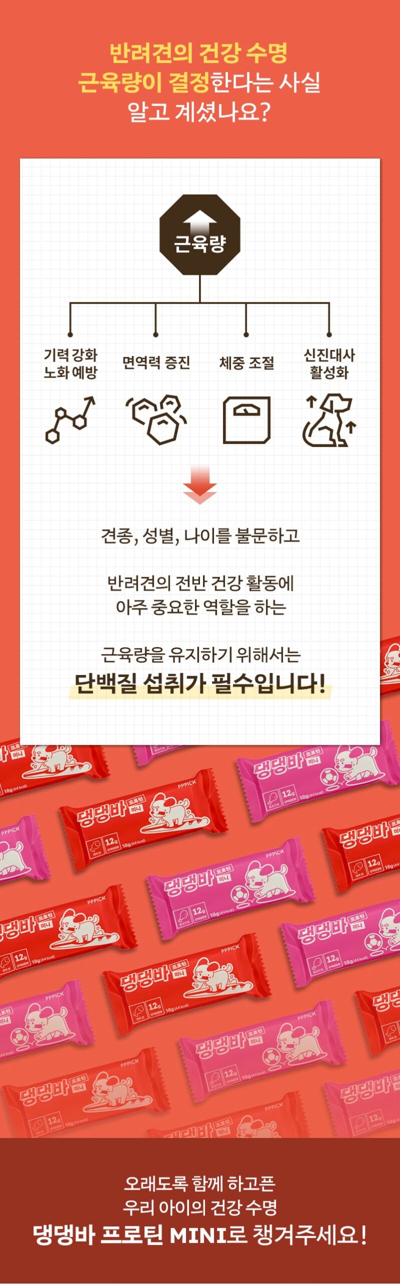 PPPICK Dangdang Bar Protein Mini Protein Bar 14pcs Salmon Chicken empresskorea Dangdang Bar Protein Mini for Your Dog's Healt...