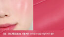 Clio Essential Lipcheek Tap 4.5g