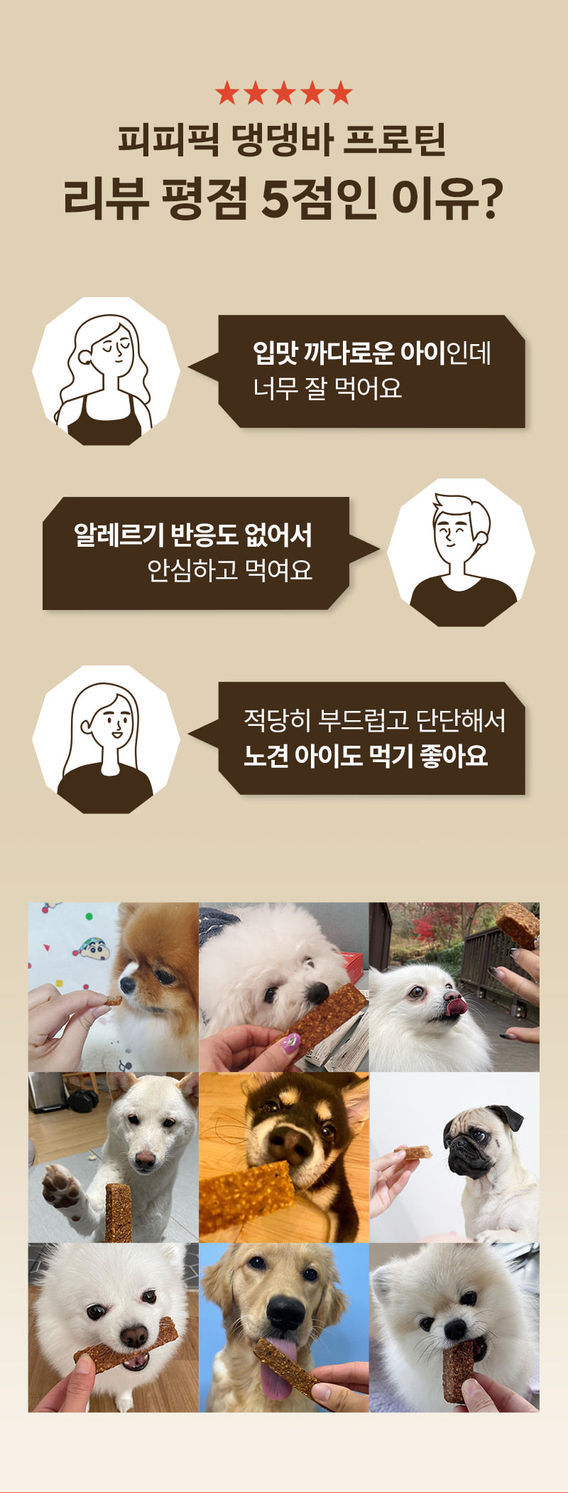 PPPICK Dangdang Bar Protein Mini Protein Bar 14pcs Salmon Chicken empresskorea Dangdang Bar Protein Mini for Your Dog's Healt...