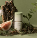 After blow Solid Perfume 04 Forest Woody 6.5g
