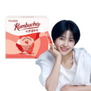 TEAZEN Kombucha Raspberry 5g*30sticks