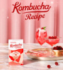 TEAZEN Kombucha Raspberry 5g*30sticks
