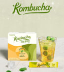 TEAZEN Kombucha Korean Plum 5g*30sticks [2024 NEW]