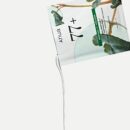 Anua Houttuynia Cordata 77 Soothing Sheet Mask Pack 25ml*10pack