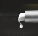 cellinto Pico Tightening Exosome Ampoule 30ml