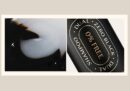 Dr.Banggiwon Dual Zero Black Shampoo 200ml