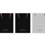 BLACKPINK - BLACKPINK 2nd ALBUM [BORN PINK] BOX SET [SET]