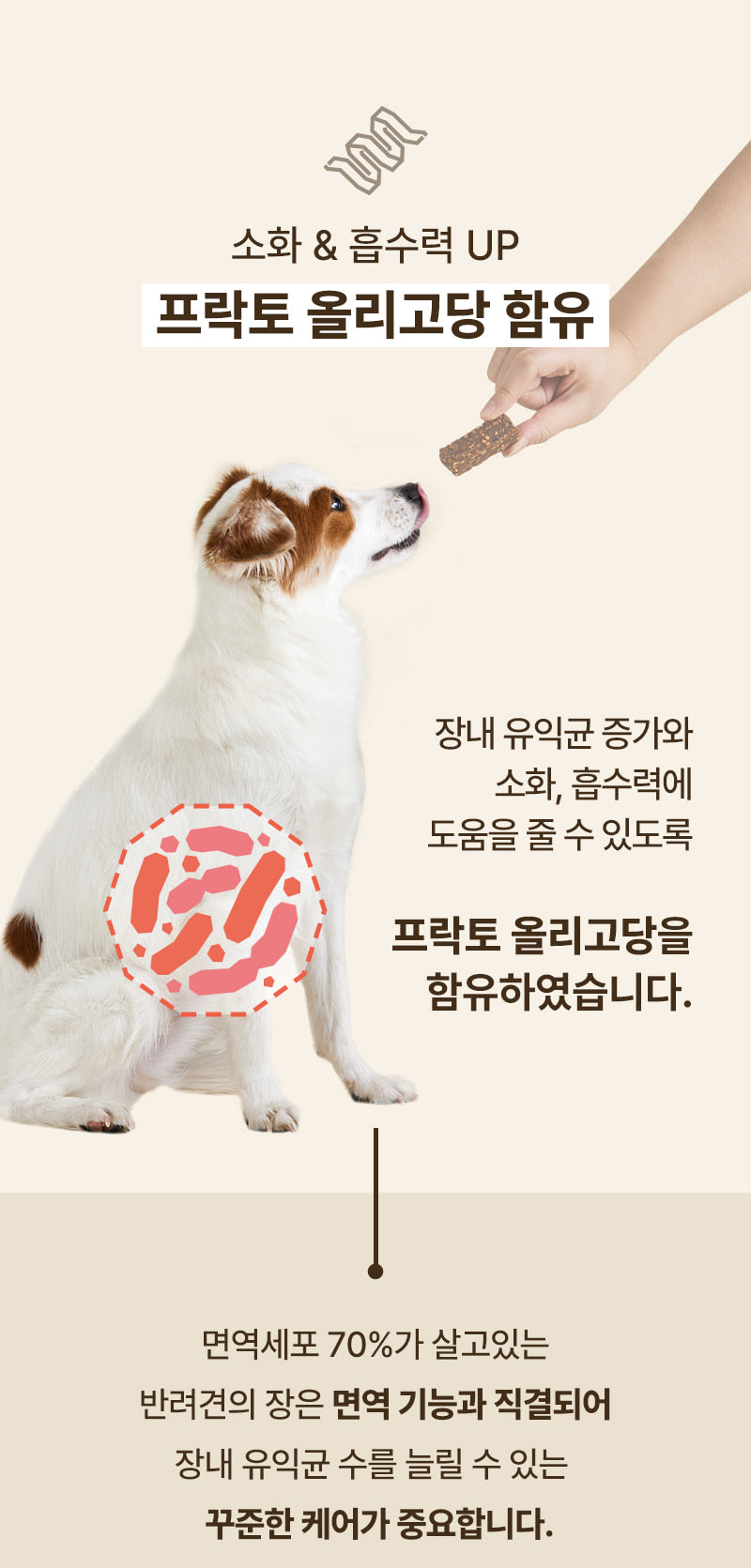 PPPICK Dangdang Bar Protein Mini Protein Bar 14pcs Salmon Chicken empresskorea Dangdang Bar Protein Mini for Your Dog's Healt...