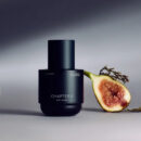 ODYSSEY CHAPTER V Antioxidant Moisturizer Sanctuary 110ml