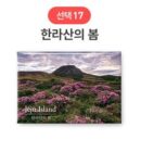 SOV Korea Souvenir Travel Magnet EmpressKorea