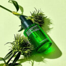 Pyunkang Yul Ultimate Calming Solution Ampoule 30ml