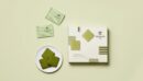 OSULLOC Green Tea Langue de Chat 10g x 10ea