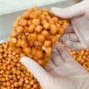 #1 repurchase Crispy and chewy [Plain Oranda] Soft homemade healthy snack 20g, 10pcs - EmpressKorea