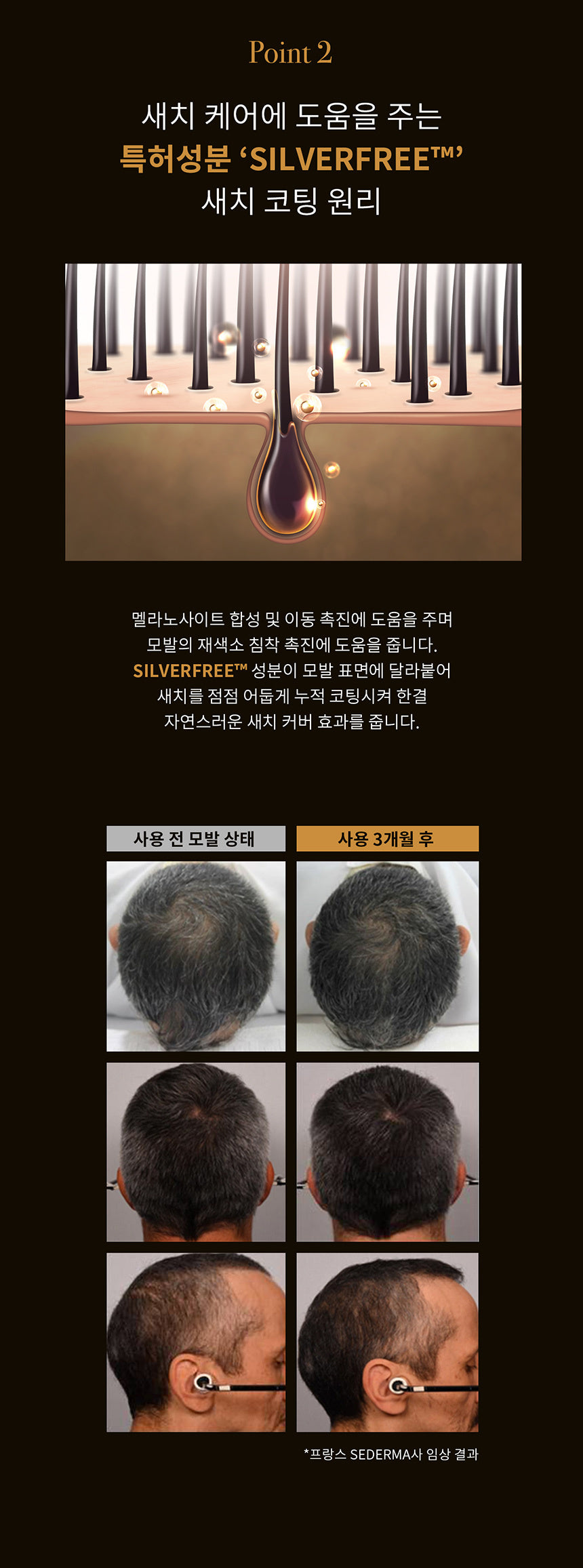 댕기머리 더 블랙 염색 염색샴푸 새치