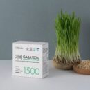 Cellpinda GABA 1500mg 100% Kimchi Lactic Acid Bacteria 45g 30stick