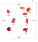 freshian Vegan Serum Lip Tint 6g