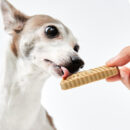 byRef BYEPLAQUE Brushless Oral Gel for Pets 15g x 3ea