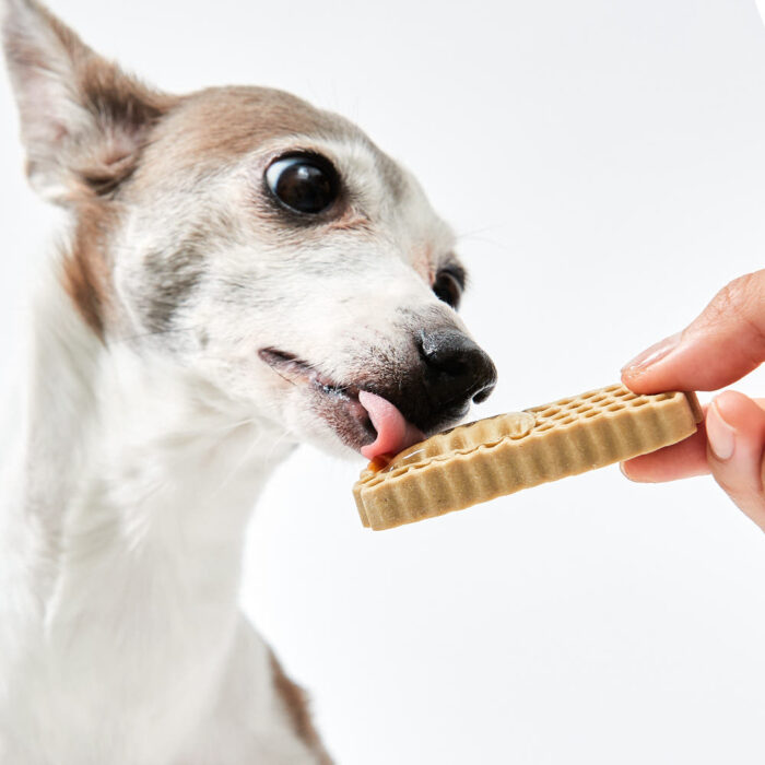 byRef BYEPLAQUE Brushless Oral Gel for Pets 15g x 3ea - Image 3