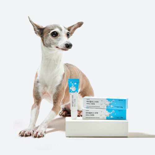 byRef BYEPLAQUE Brushless Oral Gel for Pets 15g x 3ea