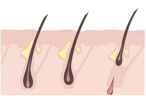 COSNORI LONG ACTIVE EYELASH SERUM 9G EmpressKorea Cosnory No. 1Eyelash Nutrition Supplement No.1 Hwahae Eye Makeup category N...