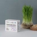 Cellpinda GABA 750mg 100% Kimchi Lactic Acid Bacteria 22.5g 30stick