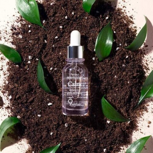 9wishes Calm Ampule Serum 25ml - EmpressKorea