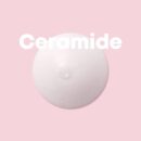 AMPLE:N Ceramide Shot Ampoule 100ml - EmpressKorea