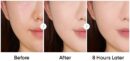 AMUSE Meta Fixing Vegan Cushion SPF 45 PA++ (3 Colors) 15g - EmpressKorea