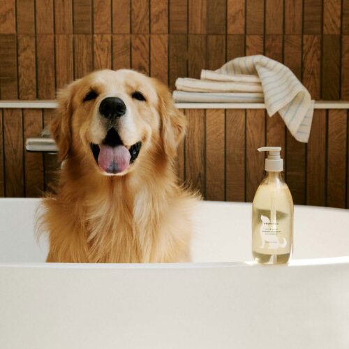 AROMATICA Gentle Groom Dog Shampoo Lavender & Geranium 500ml - EmpressKorea