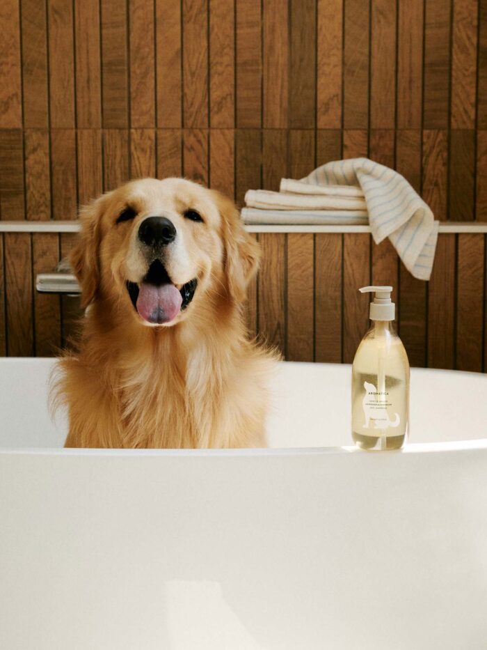 AROMATICA Gentle Groom Dog Shampoo Lavender & Geranium 500ml - EmpressKorea