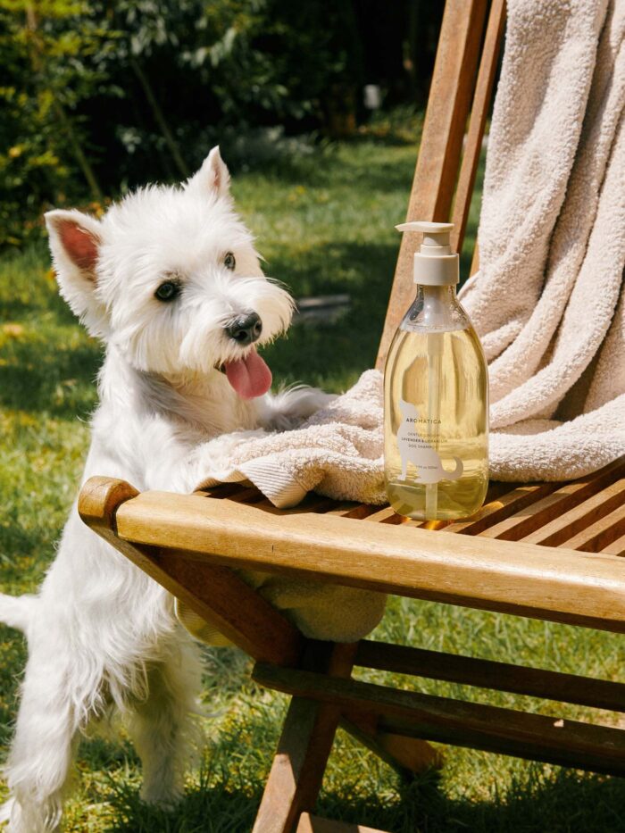 AROMATICA Gentle Groom Dog Shampoo Lavender & Geranium 500ml - EmpressKorea