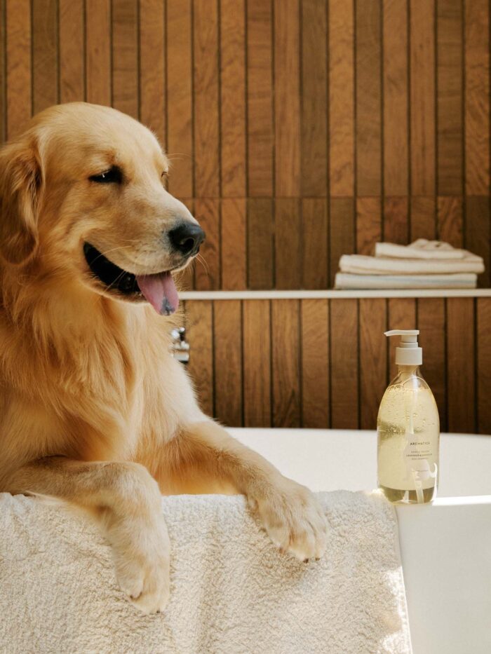 AROMATICA Gentle Groom Dog Shampoo Lavender & Geranium 500ml - EmpressKorea