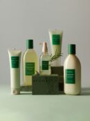 AROMATICA Rosemary Scalp Scaling Shampoo 1000ml - EmpressKorea