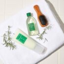 AROMATICA Rosemary Scalp Scrub 165g - EmpressKorea