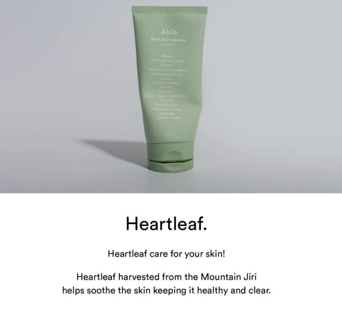 Abib Acne Foam Cleanser Heartleaf Foam 150ml - EmpressKorea