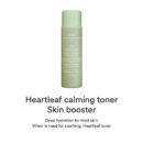 Abib Heartleaf Calming Toner Skin Booster 200ml - EmpressKorea
