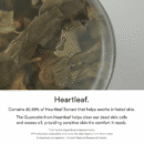 Abib Heartleaf Essence Calming Pump 50ml - EmpressKorea