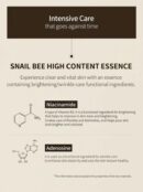 BENTON Snail Bee High Content Essence 100ml - EmpressKorea