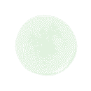 BRING GREEN Tea Tree Cica SOS Spot Serum 13ml+13ml Set - EmpressKorea
