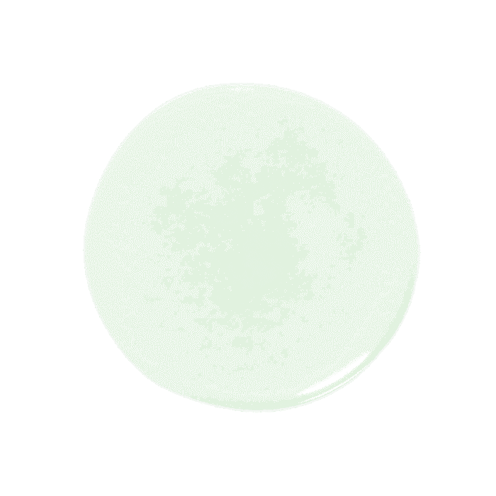 BRING GREEN Tea Tree Cica SOS Spot Serum 13ml+13ml Set - EmpressKorea